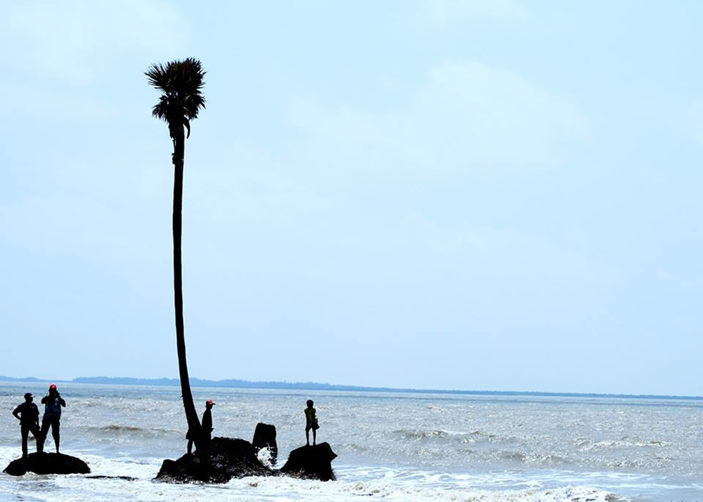 My Journey With Trees: Fascinating Photo Series By Dakshina Murthy